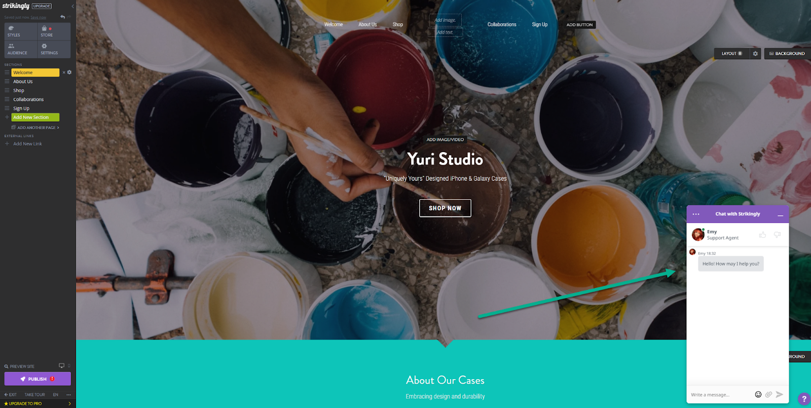 Strikingly Support Strikingly Support